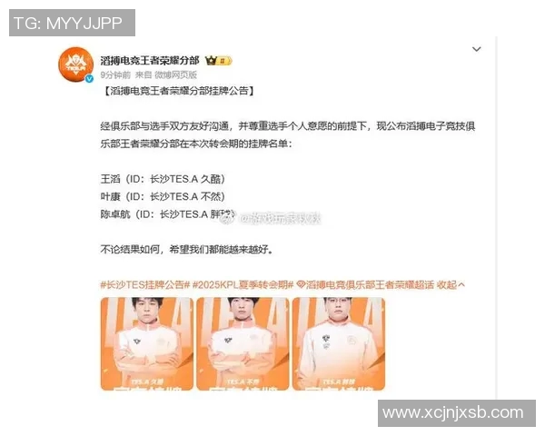 王者荣耀热议TES实力之争引发的战术与团队合作探讨 王者荣耀热议TES实力之争引发的战术与团队合作探讨