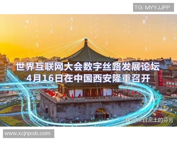 深度探讨张娜在和平精英中的成长与挑战之路实时数据